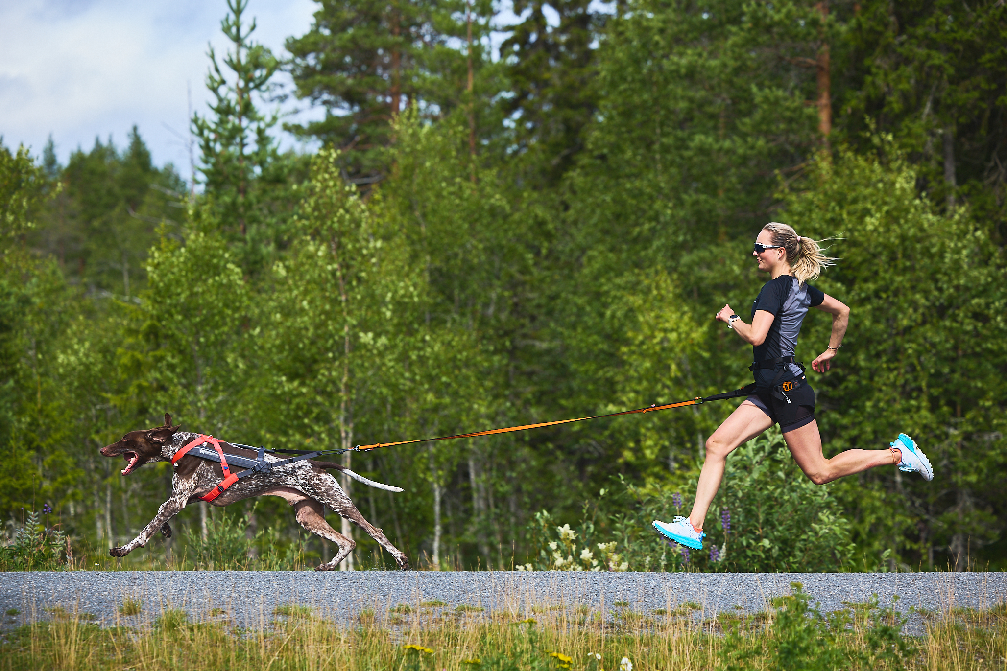 Atleta correndo com cão usando gear Non-stop dogwear